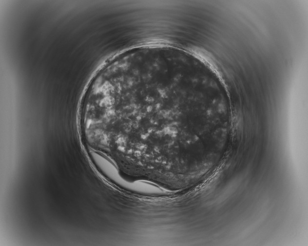 X0000093401429200711091333