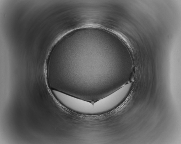 X0000093401430200711091333