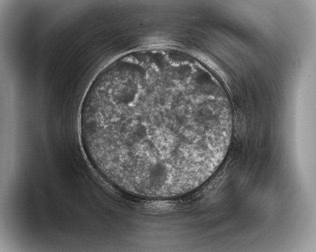 X0000093401431200711091333