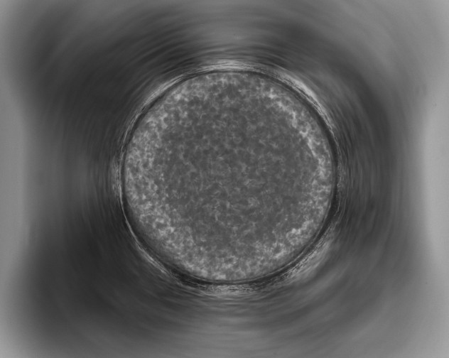 X0000093401433200711091333