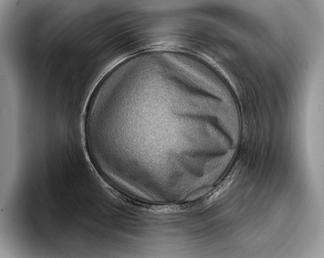 X0000093401434200711091333