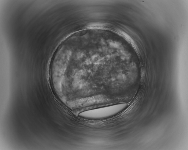 X0000093401435200711091333