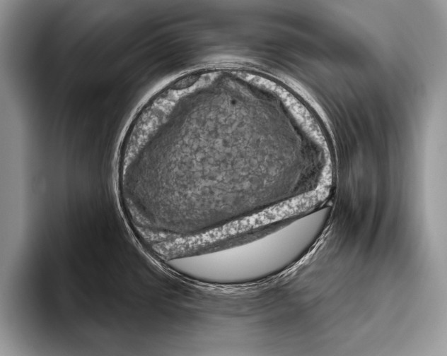 X0000093401437200711091333