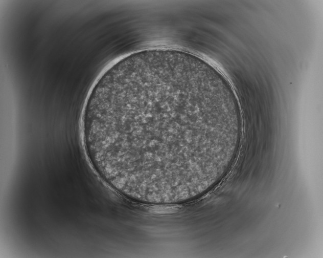 X0000093401440200711091333