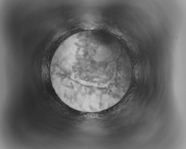 X0000093401446200711091332