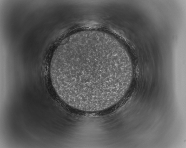 X0000093401447200711091332