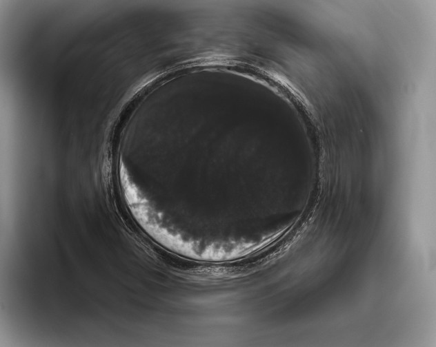 X0000093401450200711091332