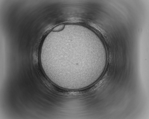 X0000093401451200711091332