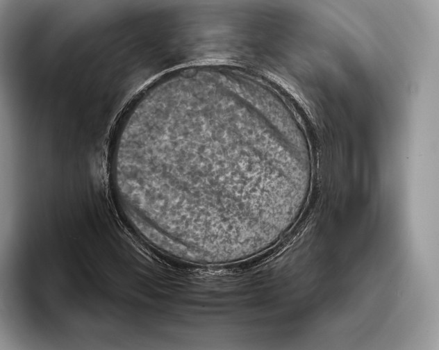 X0000093401452200711091332