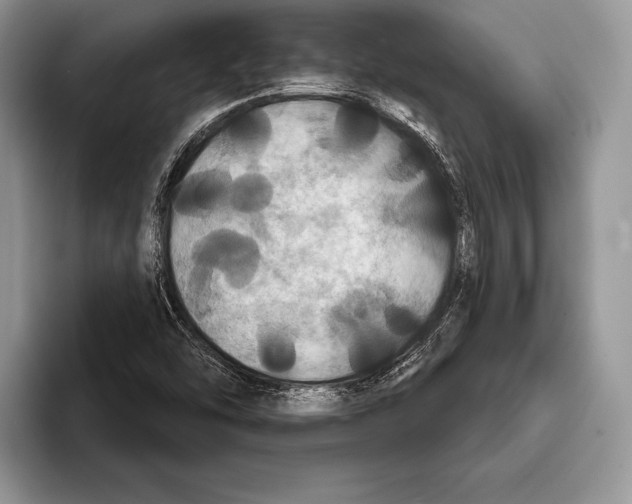 X0000093401454200711091332