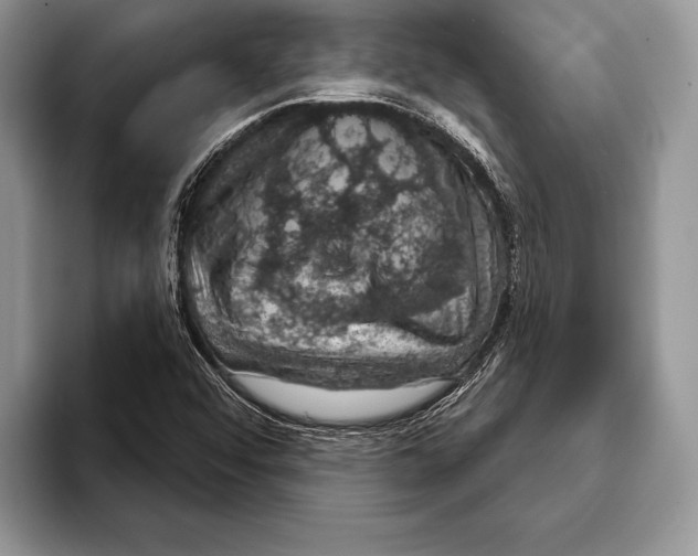 X0000093401456200711091332