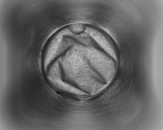 X0000093401460200711091332