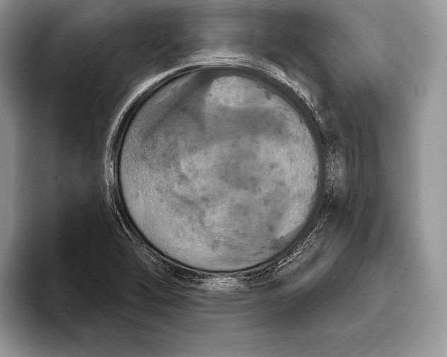 X0000093401462200711091332