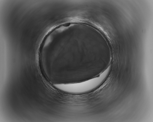 X0000093401463200711091332