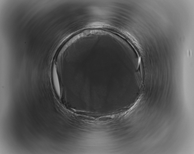 X0000093401465200711091332