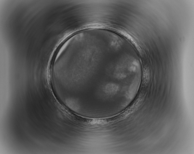 X0000093401466200711091332