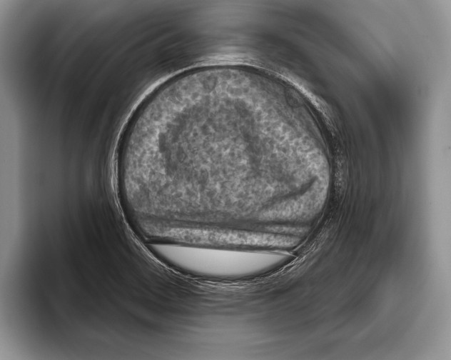 X0000093401468200711091332