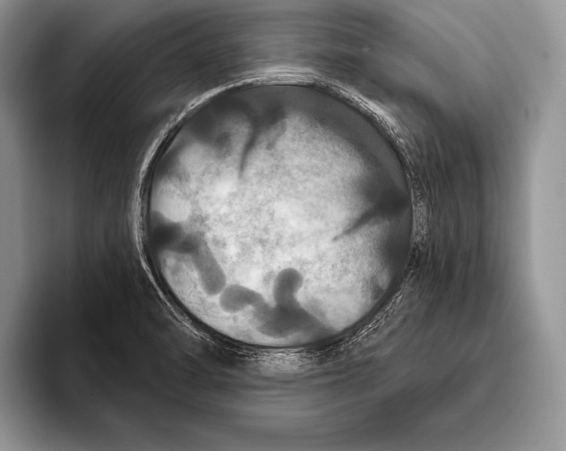 X0000093401470200711091332