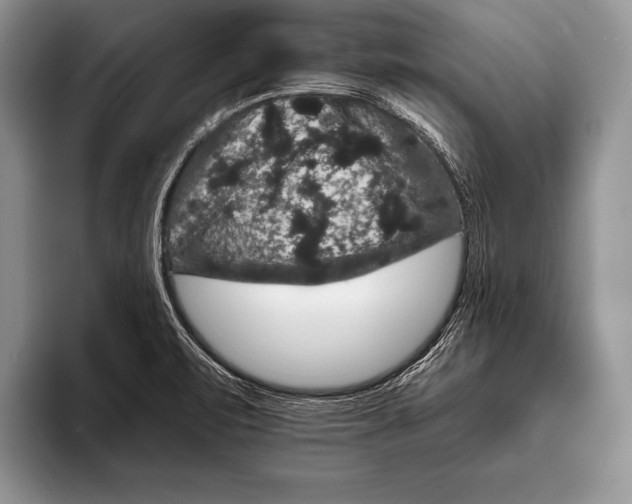 X0000093401471200711091332