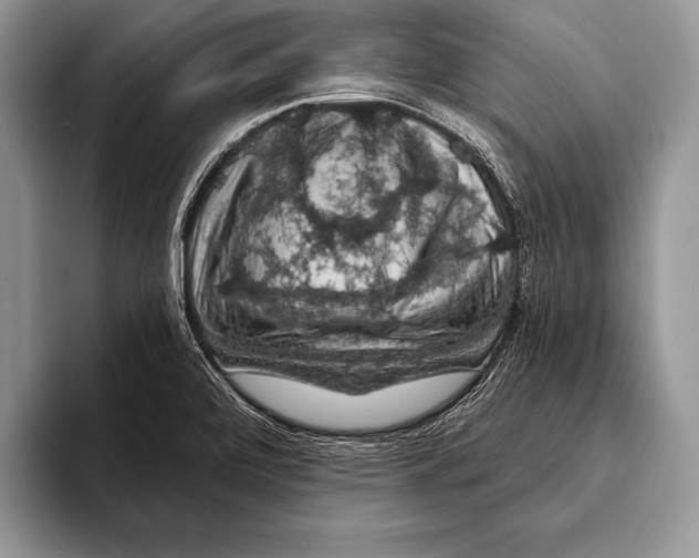 X0000093401472200711091332