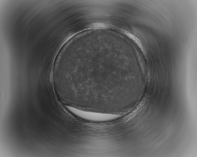 X0000093401473200711091332