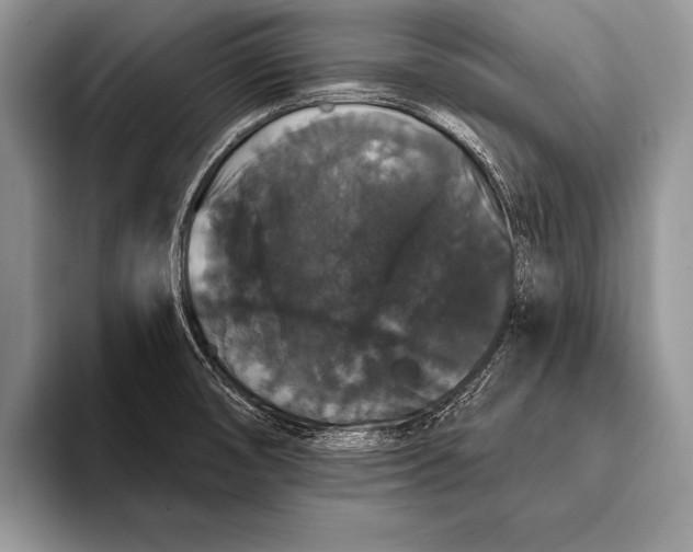 X0000093401474200711091332