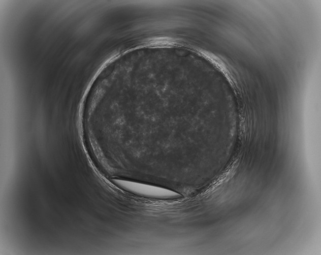 X0000093401475200711091332