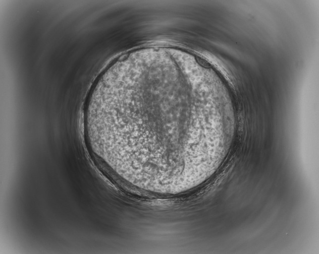 X0000093401476200711091332