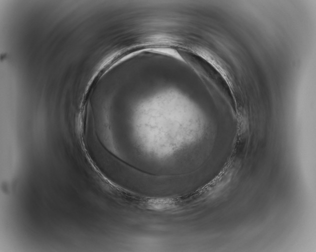 X0000093401477200711091332