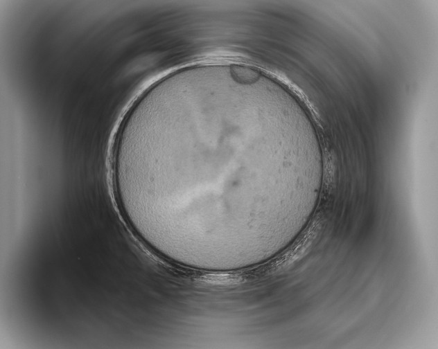 X0000093401478200711091332