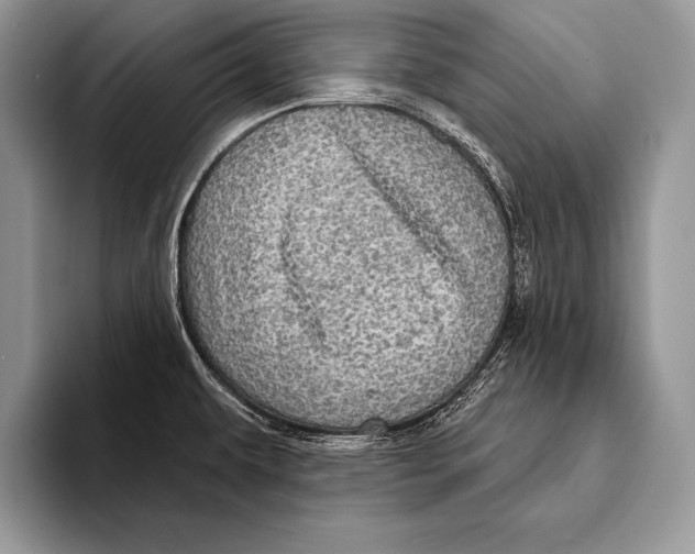 X0000093401479200711091332