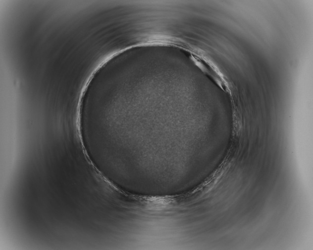 X0000093401480200711091332