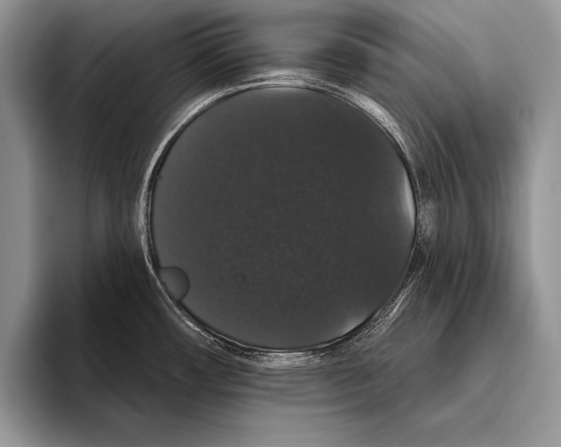 X0000093401482200711091332