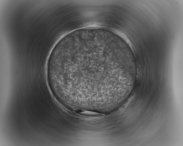 X0000093401483200711091332