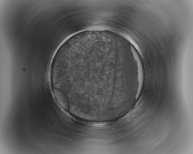 X0000093401484200711091332