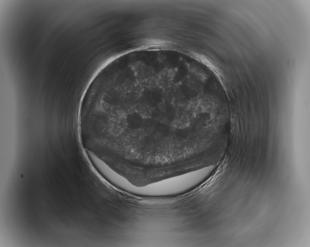 X0000093401487200711091332