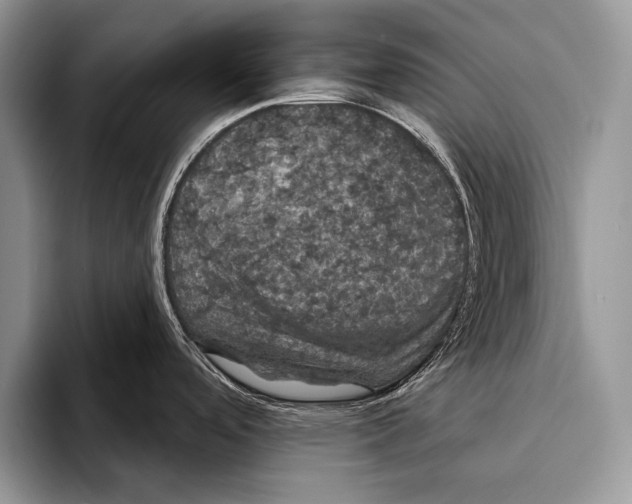 X0000093401488200711091332