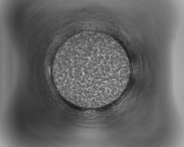 X0000093401489200711091331