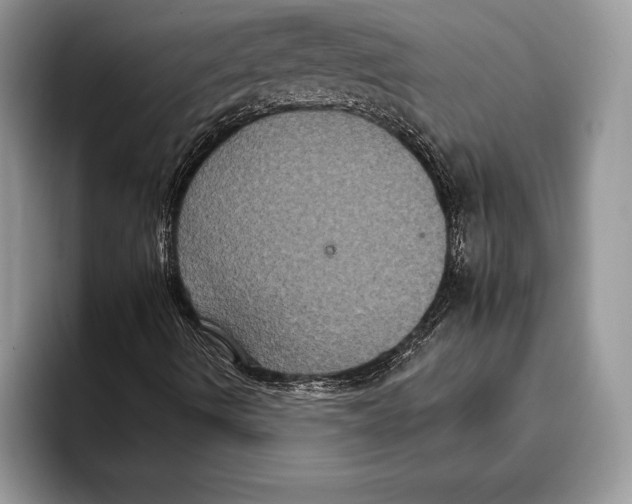 X0000093401490200711091331