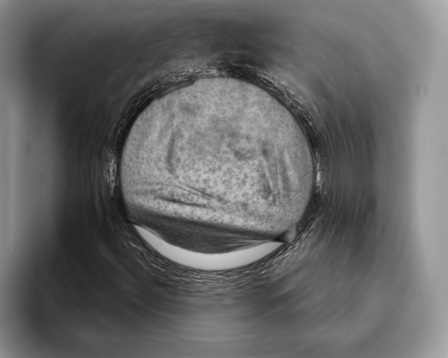 X0000093401492200711091331