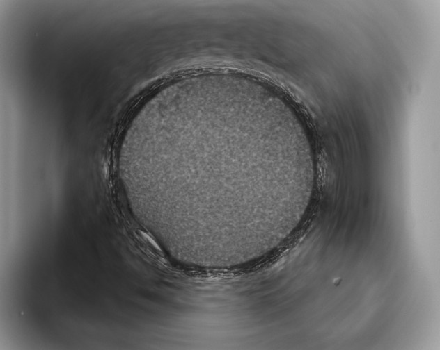 X0000093401494200711091331