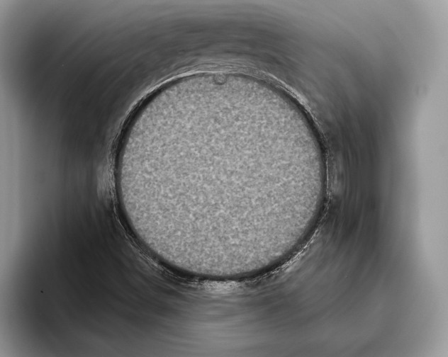 X0000093401498200711091331