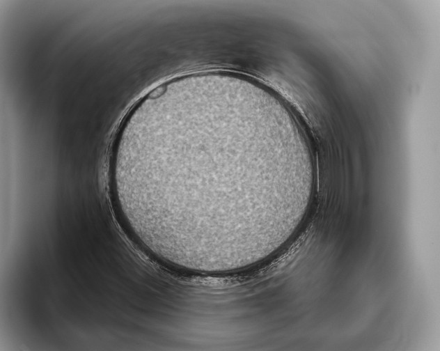 X0000093401500200711091331