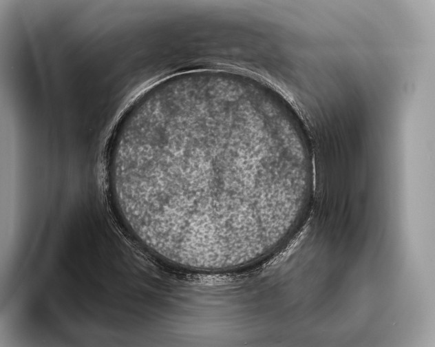 X0000093401501200711091331