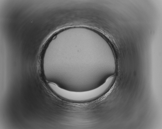 X0000093401502200711091331