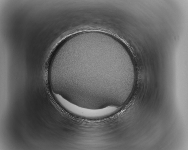 X0000093401503200711091331