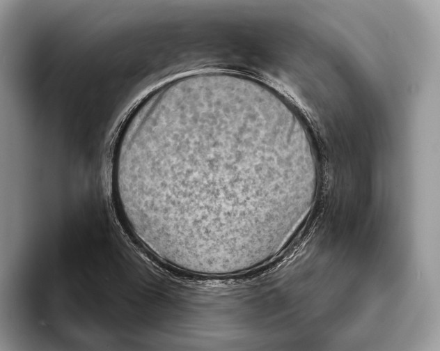 X0000093401504200711091331