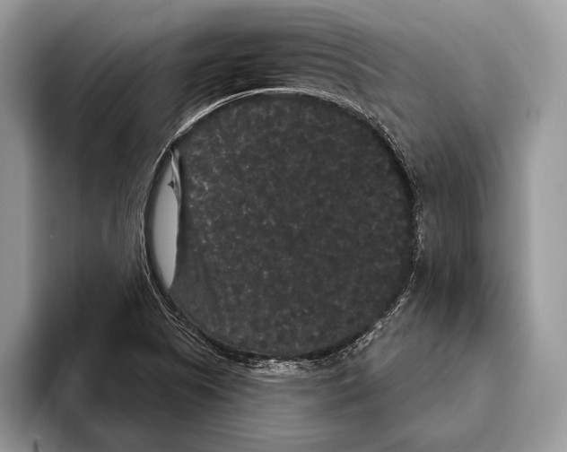 X0000093401505200711091331