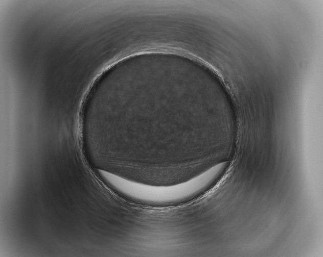 X0000093401506200711091331