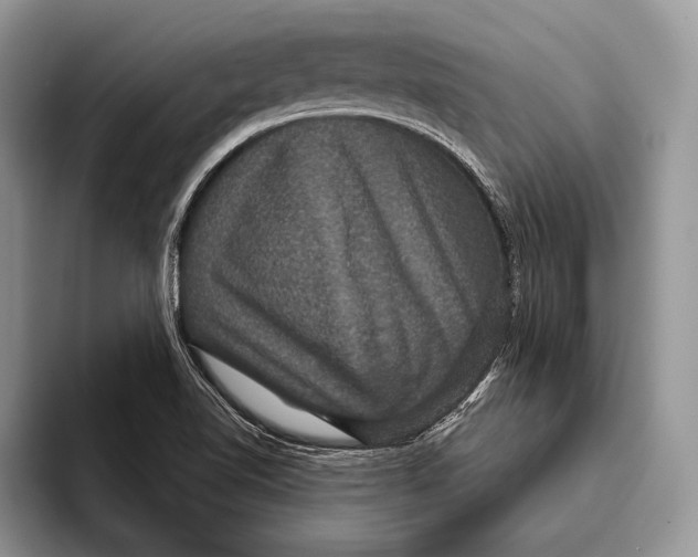 X0000093401510200711091331